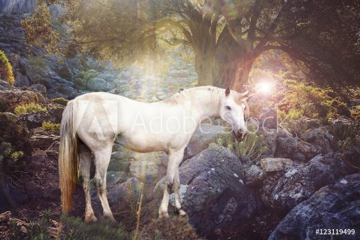 Picture of Unicorn realistic photography